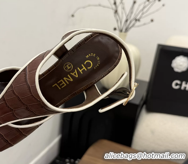 Shop Cheap Chanel Brown Crocodile Embossed Calfskin Leather Slingback Pumps 90MM 6052105