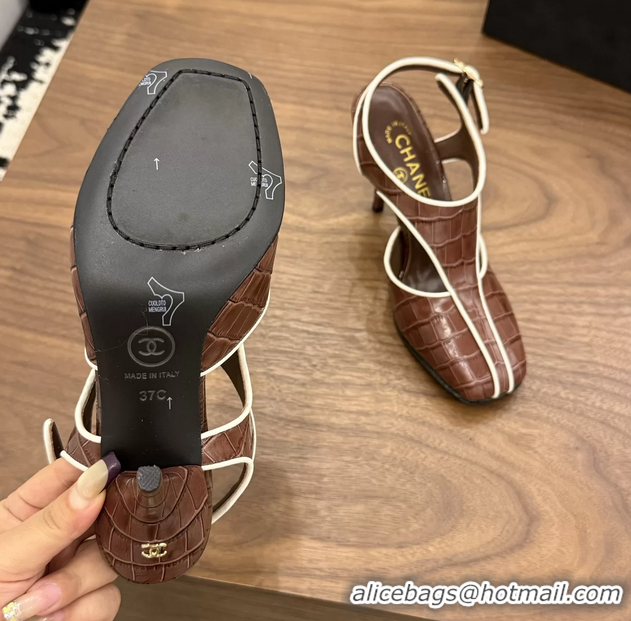 Shop Cheap Chanel Brown Crocodile Embossed Calfskin Leather Slingback Pumps 90MM 6052105