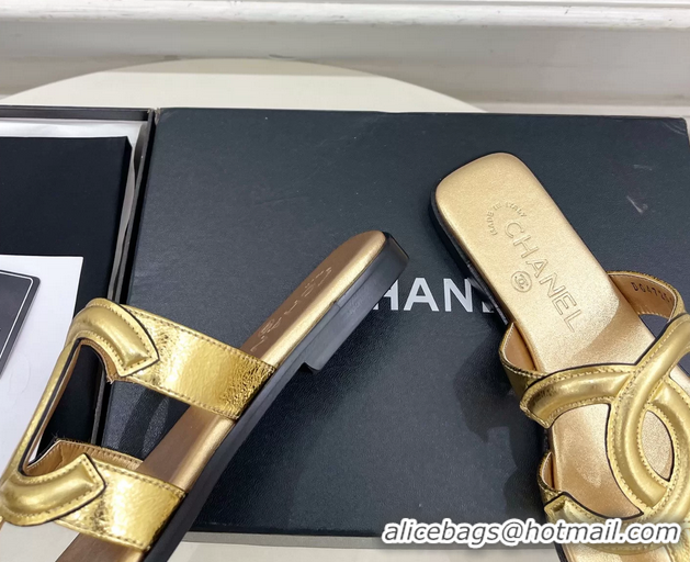 Durable Chanel Large CC Logo Gold Metallic Leather Flat Thong Sandals 6052106
