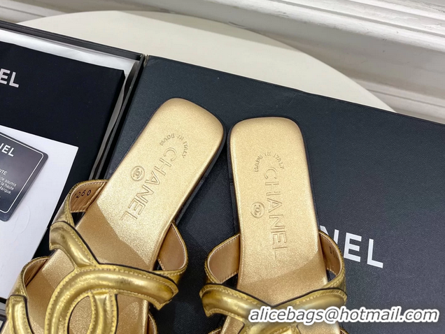 Durable Chanel Large CC Logo Gold Metallic Leather Flat Thong Sandals 6052106