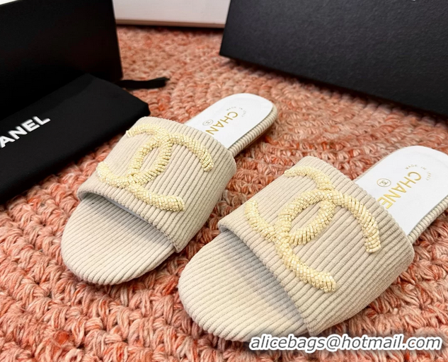 Top Quality Chanel CC Logo Flat Slides Sandals Beige Top Quality Chanel CC Logo Flat Slides Sandals Beige 6052109