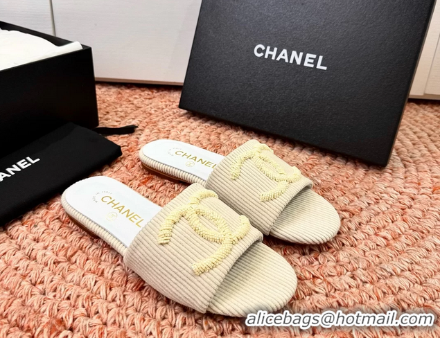 Top Quality Chanel CC Logo Flat Slides Sandals Beige Top Quality Chanel CC Logo Flat Slides Sandals Beige 6052109