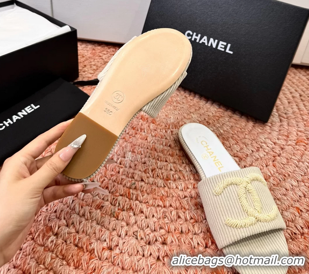 Top Quality Chanel CC Logo Flat Slides Sandals Beige Top Quality Chanel CC Logo Flat Slides Sandals Beige 6052109