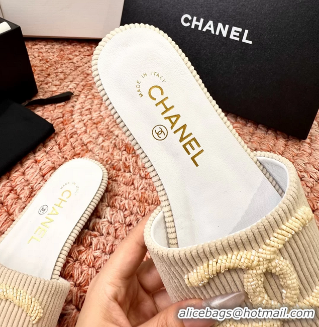 Top Quality Chanel CC Logo Flat Slides Sandals Beige Top Quality Chanel CC Logo Flat Slides Sandals Beige 6052109