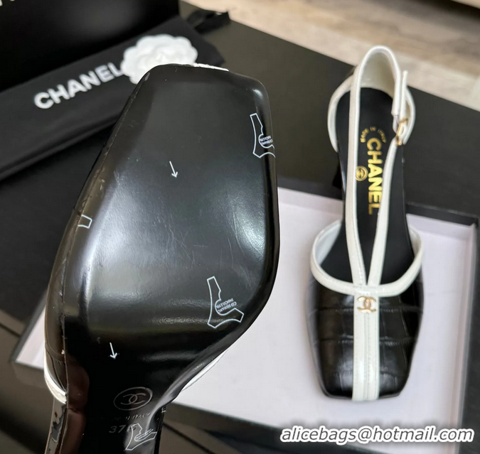 Discount Chanel CC Logo Black Crocodile Embossed Leather T Strap Pumps 6052203