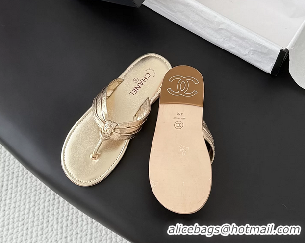 Popular Style Chanel CC Logo Gold Leather Flat Thong Sandals 6052403