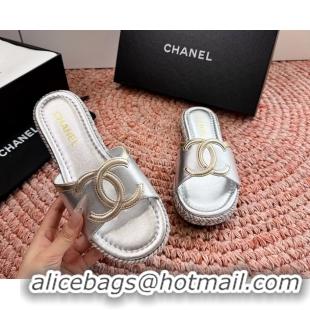 Best Product Chanel CC Logo Raffia Flat Slides Sandals Silver Calfskin Leather 6052504