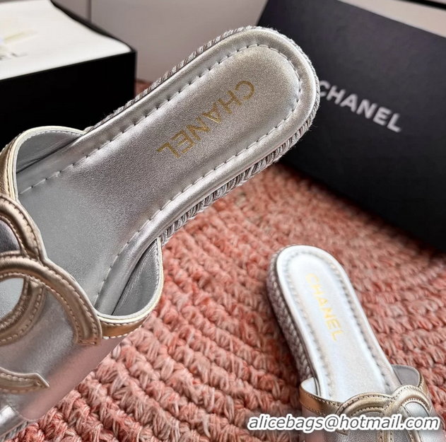 Best Product Chanel CC Logo Raffia Flat Slides Sandals Silver Calfskin Leather 6052504