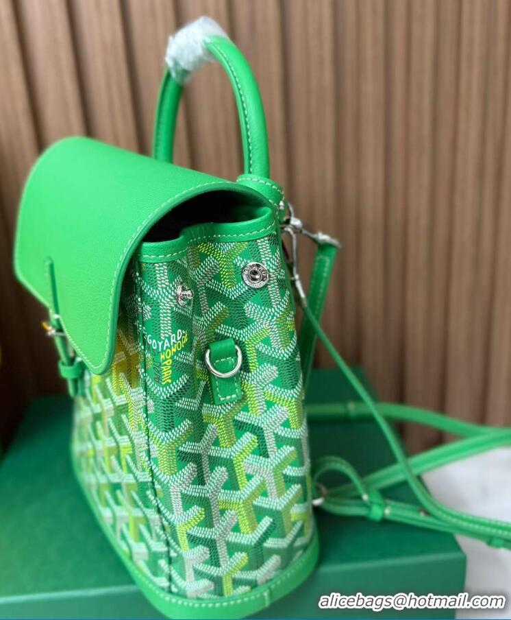 Shop Inexpensive Goyard Original Alpin Backpack Mini G8710 Multicolored Meadow Green