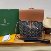 Newly Launched Goyard Alpin Original Backpack G8710 Black And Tan