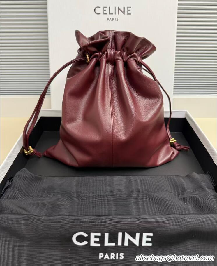 Top Grade Celine Small Crystal Pouch Crossbody Bag In Lambskin 123662 Burgundy/Gold