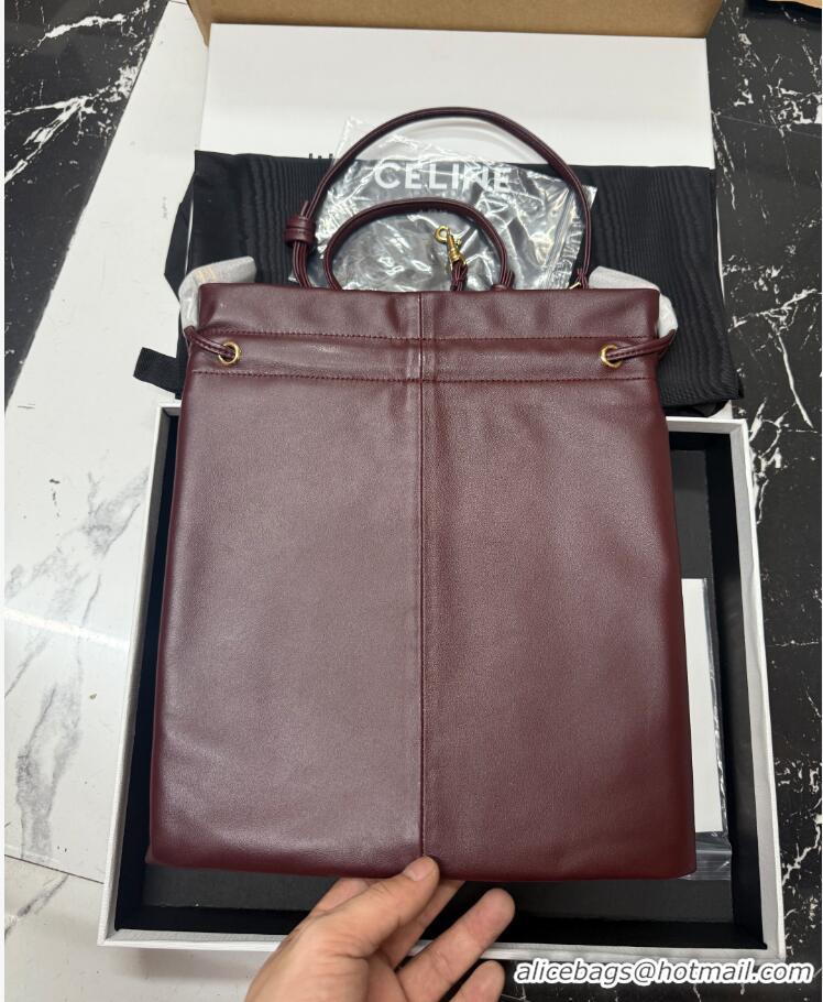 Top Grade Celine Small Crystal Pouch Crossbody Bag In Lambskin 123662 Burgundy/Gold