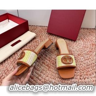 Stylish Valentino Vlogo Raffia Flat Slides Sandal Green Brown 6060911