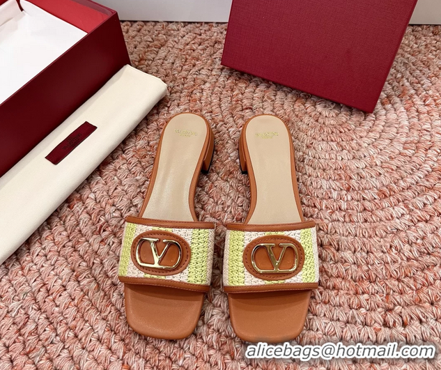 Stylish Valentino Vlogo Raffia Flat Slides Sandal Green Brown 6060911