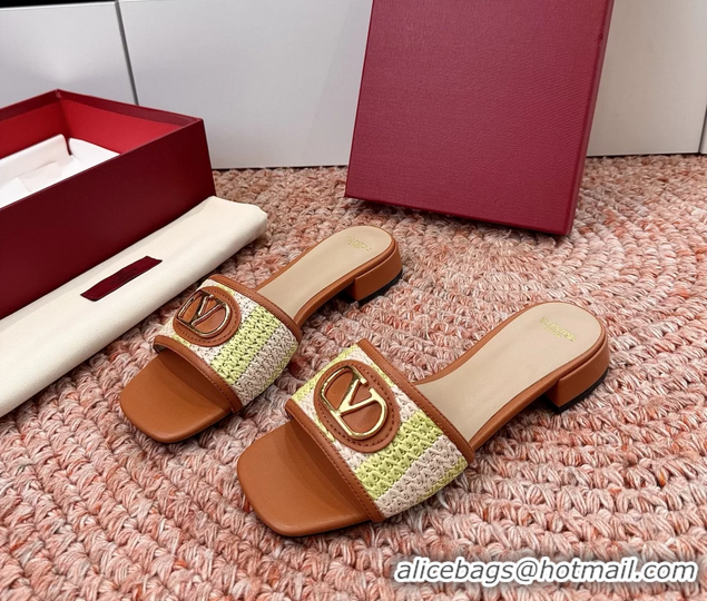 Stylish Valentino Vlogo Raffia Flat Slides Sandal Green Brown 6060911