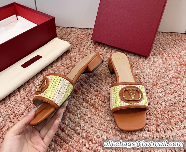 Stylish Valentino Vlogo Raffia Flat Slides Sandal Green Brown 6060911