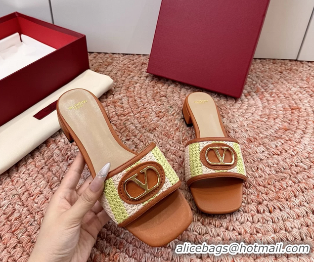 Stylish Valentino Vlogo Raffia Flat Slides Sandal Green Brown 6060911