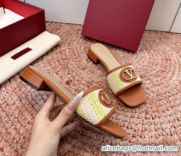 Stylish Valentino Vlogo Raffia Flat Slides Sandal Green Brown 6060911