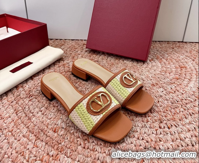 Stylish Valentino Vlogo Raffia Flat Slides Sandal Green Brown 6060911