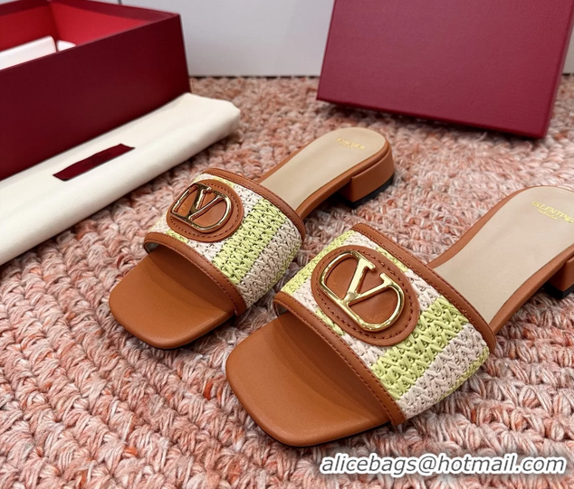 Stylish Valentino Vlogo Raffia Flat Slides Sandal Green Brown 6060911