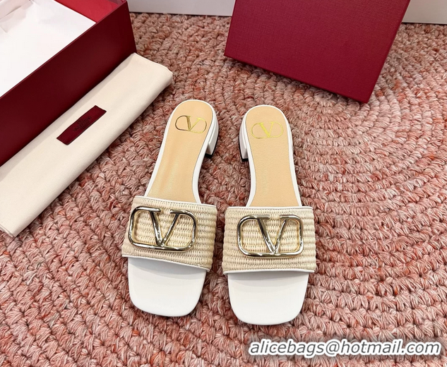 Good Quality Valentino Vlogo Raffia Flat Slides Sandal Beige White 6060911