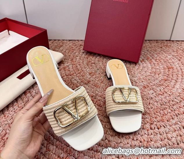 Good Quality Valentino Vlogo Raffia Flat Slides Sandal Beige White 6060911