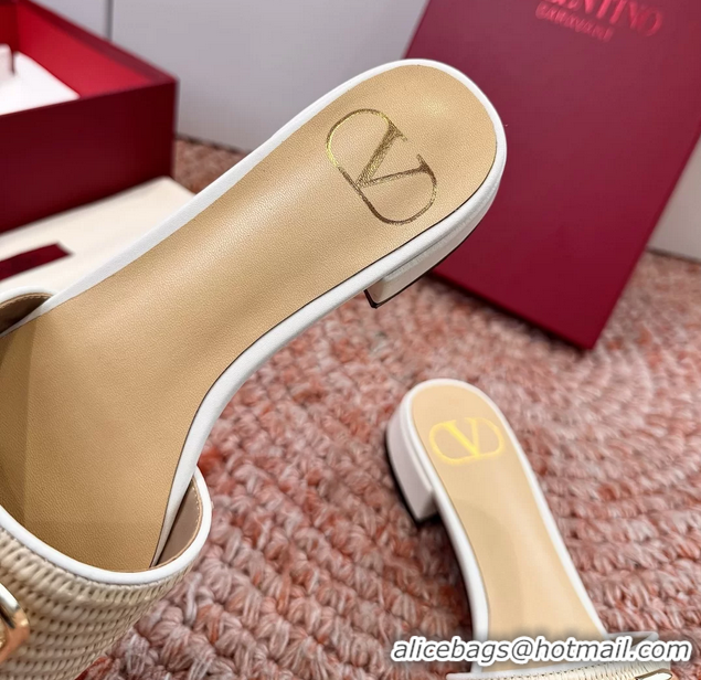 Good Quality Valentino Vlogo Raffia Flat Slides Sandal Beige White 6060911