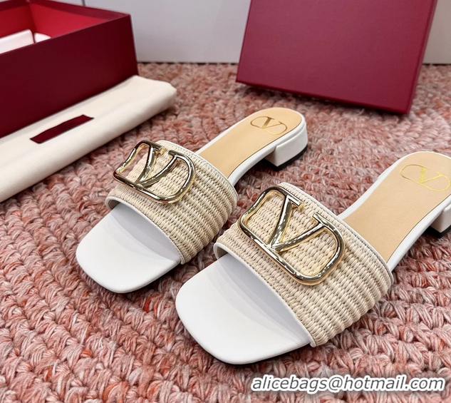 Good Quality Valentino Vlogo Raffia Flat Slides Sandal Beige White 6060911