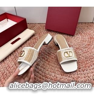Luxury Valentino Vlogo Raffia Flat Slides Sandal Beige White 6060911