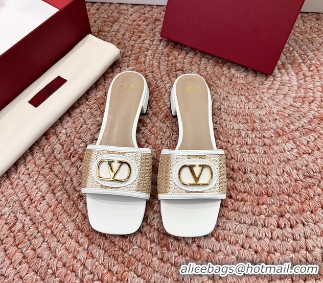 Luxury Valentino Vlogo Raffia Flat Slides Sandal Beige White 6060911