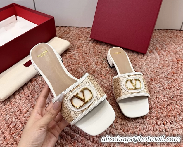 Luxury Valentino Vlogo Raffia Flat Slides Sandal Beige White 6060911
