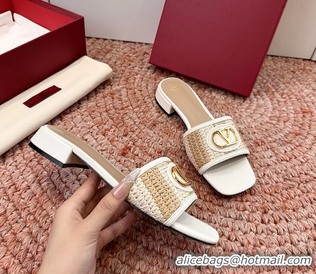 Luxury Valentino Vlogo Raffia Flat Slides Sandal Beige White 6060911