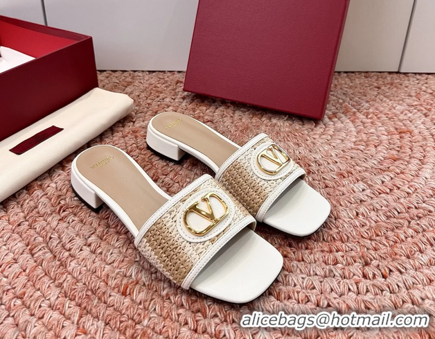 Luxury Valentino Vlogo Raffia Flat Slides Sandal Beige White 6060911