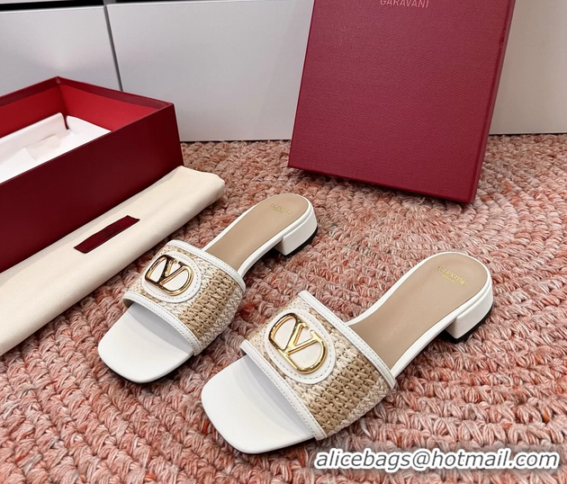 Luxury Valentino Vlogo Raffia Flat Slides Sandal Beige White 6060911