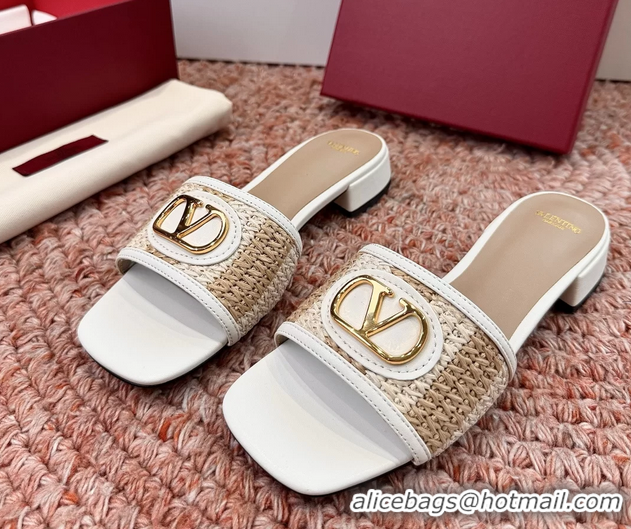 Luxury Valentino Vlogo Raffia Flat Slides Sandal Beige White 6060911