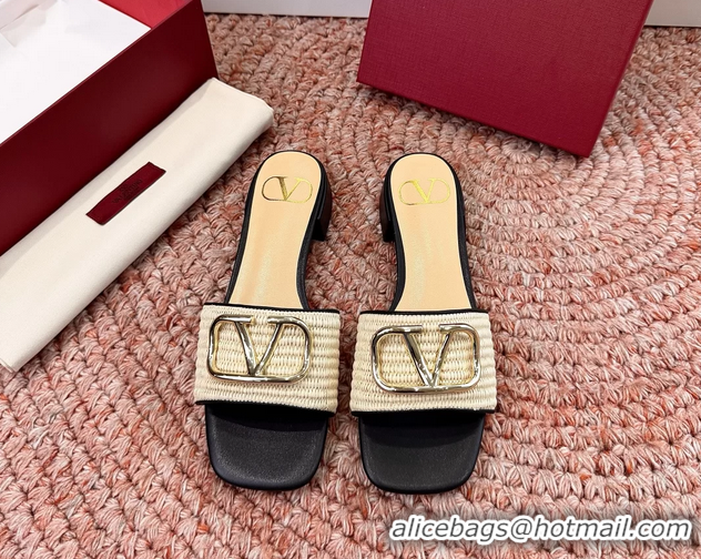 Unique Style Valentino Vlogo Raffia Flat Slides Sandal Beige Black 6060911