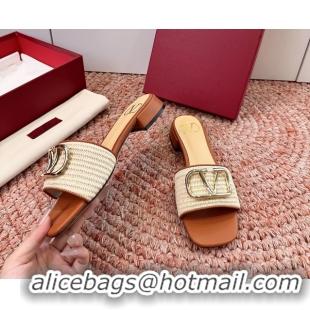 Pretty Style Valentino Vlogo Raffia Flat Slides Sandal Beige 6060911