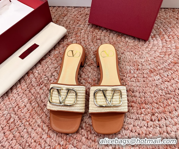 Pretty Style Valentino Vlogo Raffia Flat Slides Sandal Beige 6060911