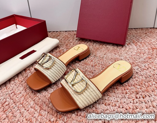 Pretty Style Valentino Vlogo Raffia Flat Slides Sandal Beige 6060911