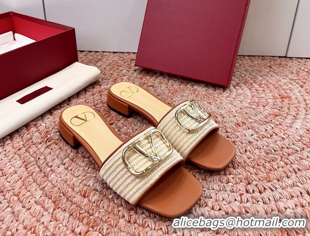 Pretty Style Valentino Vlogo Raffia Flat Slides Sandal Beige 6060911