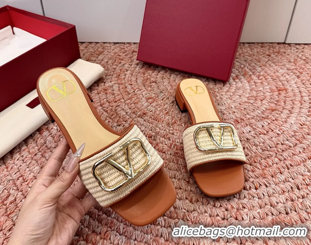 Pretty Style Valentino Vlogo Raffia Flat Slides Sandal Beige 6060911