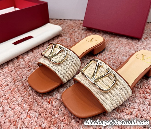 Pretty Style Valentino Vlogo Raffia Flat Slides Sandal Beige 6060911