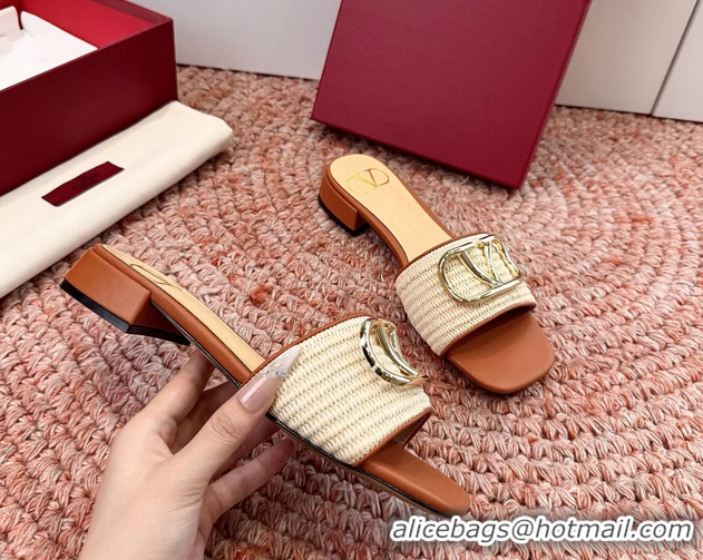Pretty Style Valentino Vlogo Raffia Flat Slides Sandal Beige 6060911