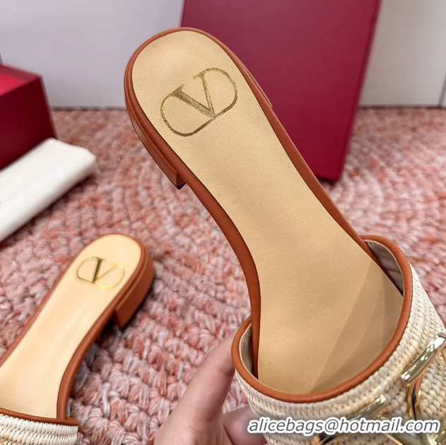 Pretty Style Valentino Vlogo Raffia Flat Slides Sandal Beige 6060911
