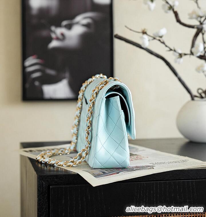 Pretty Style Chanel Classic Flap Bag Quilted Leather Featuring Embroidered Floral Details AS5697 Light Blue/Gold 2026