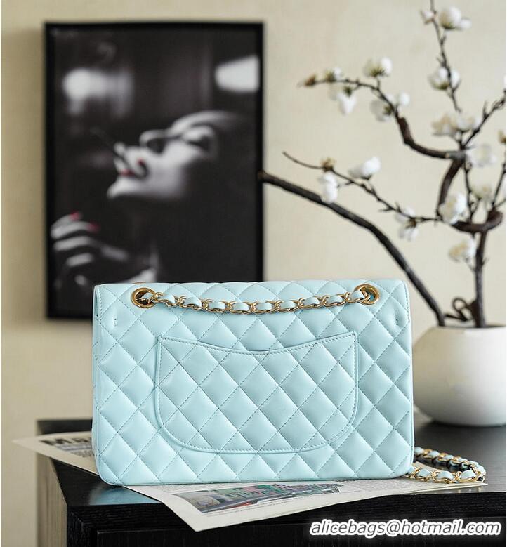 Pretty Style Chanel Classic Flap Bag Quilted Leather Featuring Embroidered Floral Details AS5697 Light Blue/Gold 2026