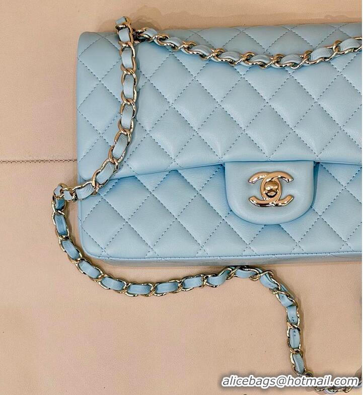 Top Quality Chanel Medium Classic Double Flap Bag In Calfskin Leather AS5689 Light Blue/Silver 2026