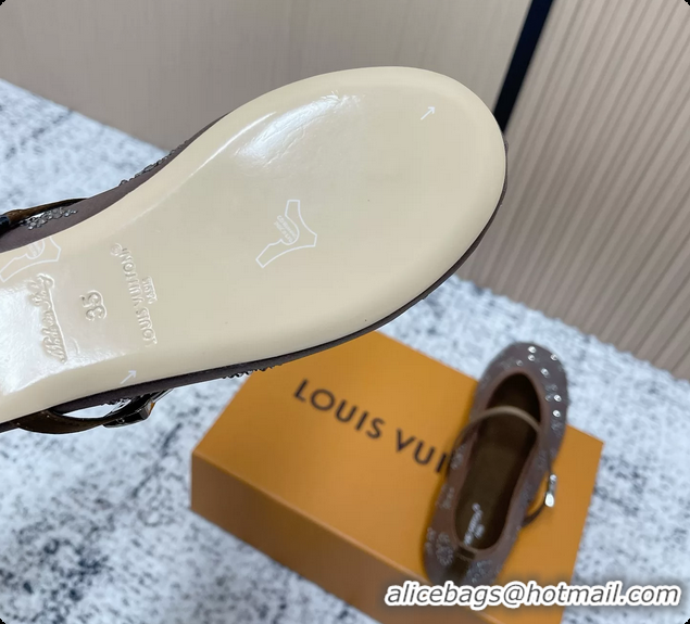 Good Product Louis Vuitton Mary Jane Romy Flat Ballerina Brown Mesh Strass 6061705