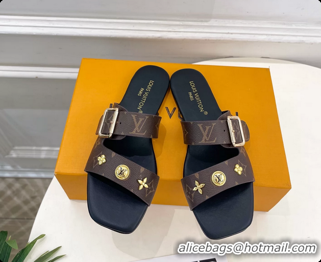 Stylish Louis Vuitton Monogram Canvas Flat Slides Sandals 6062105