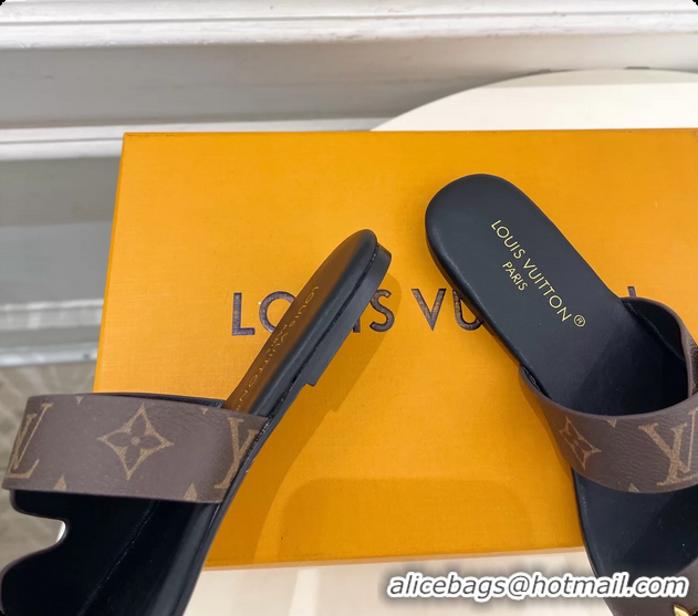 Stylish Louis Vuitton Monogram Canvas Flat Slides Sandals 6062105